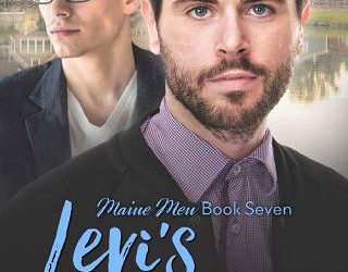 levi's love kc wells