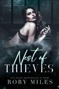 nest thieves, rory miles