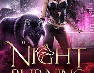 night burning juliana haygert