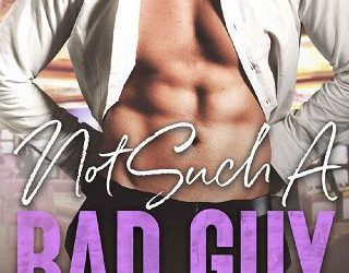 not such guy erin nicholas