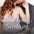 something borrowed megan ryder