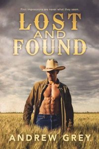 lost found, andrew grey