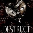 destruct elle cassidy