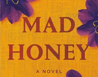 mad honey jodi picoult
