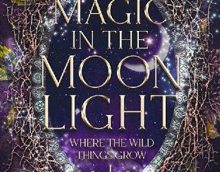 magic moonlight auryn hadley