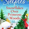 snowflakes over jill steeples