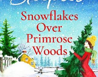 snowflakes over jill steeples