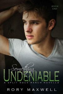 something undeniable, rory maxwell
