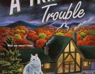 trip with trouble diane kelly