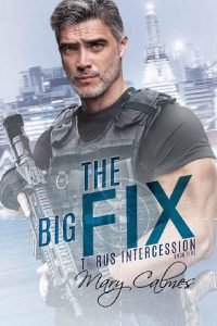 big fix, mary calmes