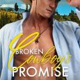 cowboy's promise olivia reign