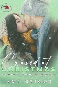 craved christmas, amy briggs