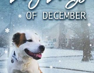 dog days kim fielding