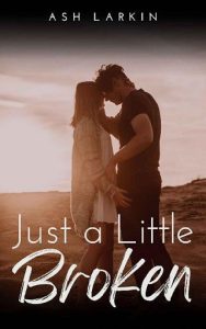 just little broken, ash larkin