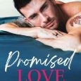 promised love vikki jay