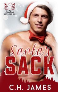 santa's sack, ch james
