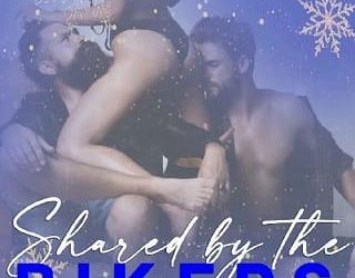 shared bikers summer winters