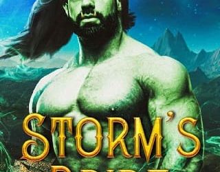 storm's bride terri cannon