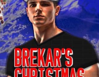 brekar's christmas christine myers
