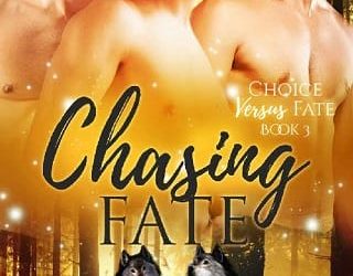 chasing fate katy manz