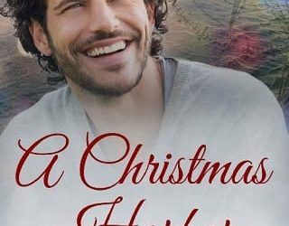 christmas harbor avery cockburn