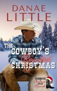 cowboy's christmas, danae little