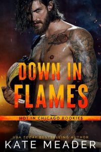 down in flames, kate meader