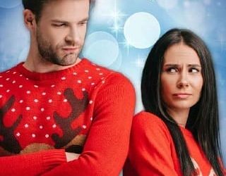 grumpy holiday brynn hale