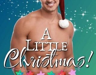 little christmas wendy rathbone