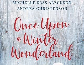 once upon winter susan may warren