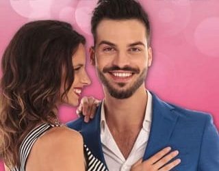 dreamy holidate brynn hale