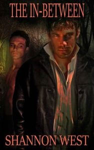 in-between, sj chayne