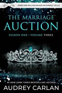 marriage auction 3, audrey carlan