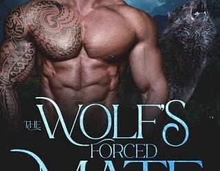 wolf's mate layla silver