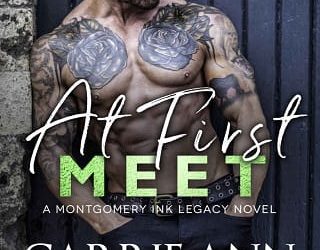 at first meet carrie ann ryan