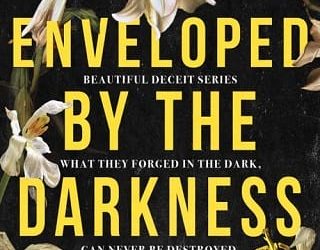 enveloped darkness felicity brandon