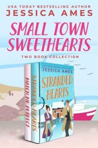small town, jessica ames