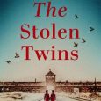 stolen twins shari j ryan