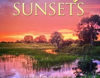 chasing sunsets rachel hanna