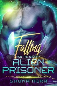 falling prisoner, shona mira