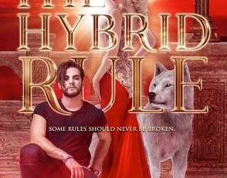 hybrid rule quinn loftis