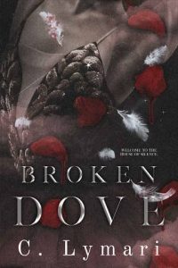 broken dove, c lymari