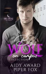 big wolf, aidy award