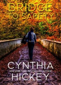 bridge safety, cynthia hickey