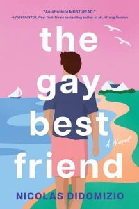 gay friend, nicolas didomizio