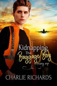 kidnapping baggage boy, lisa oliver