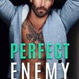 perfect enemy m robinson