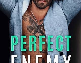 perfect enemy m robinson