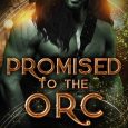 promised orc liz paffel