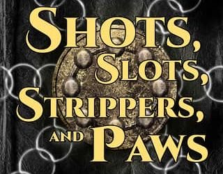 shots slots cs knight